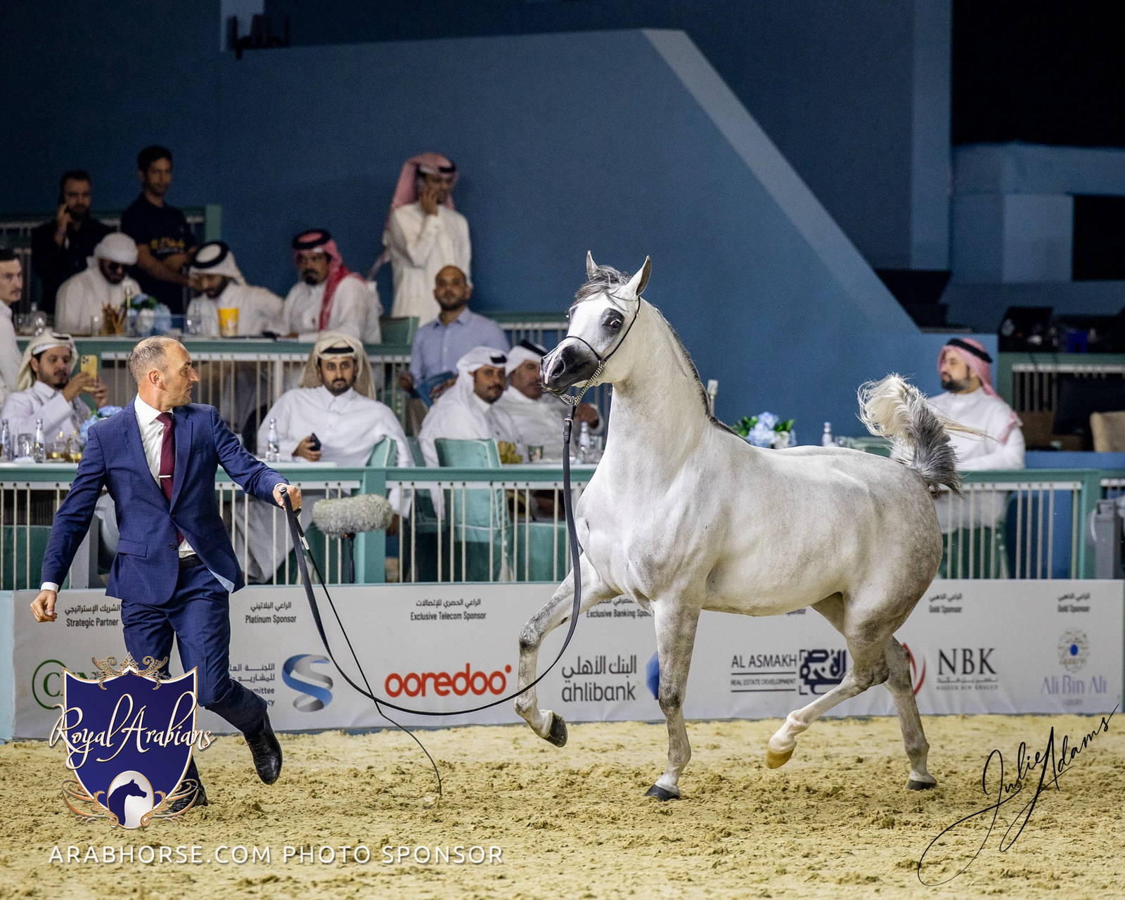 World Arabian Horse Championship Day One - Mares & Fillies