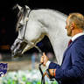 World Arabian Horse Championship Day One - Mares & Fillies