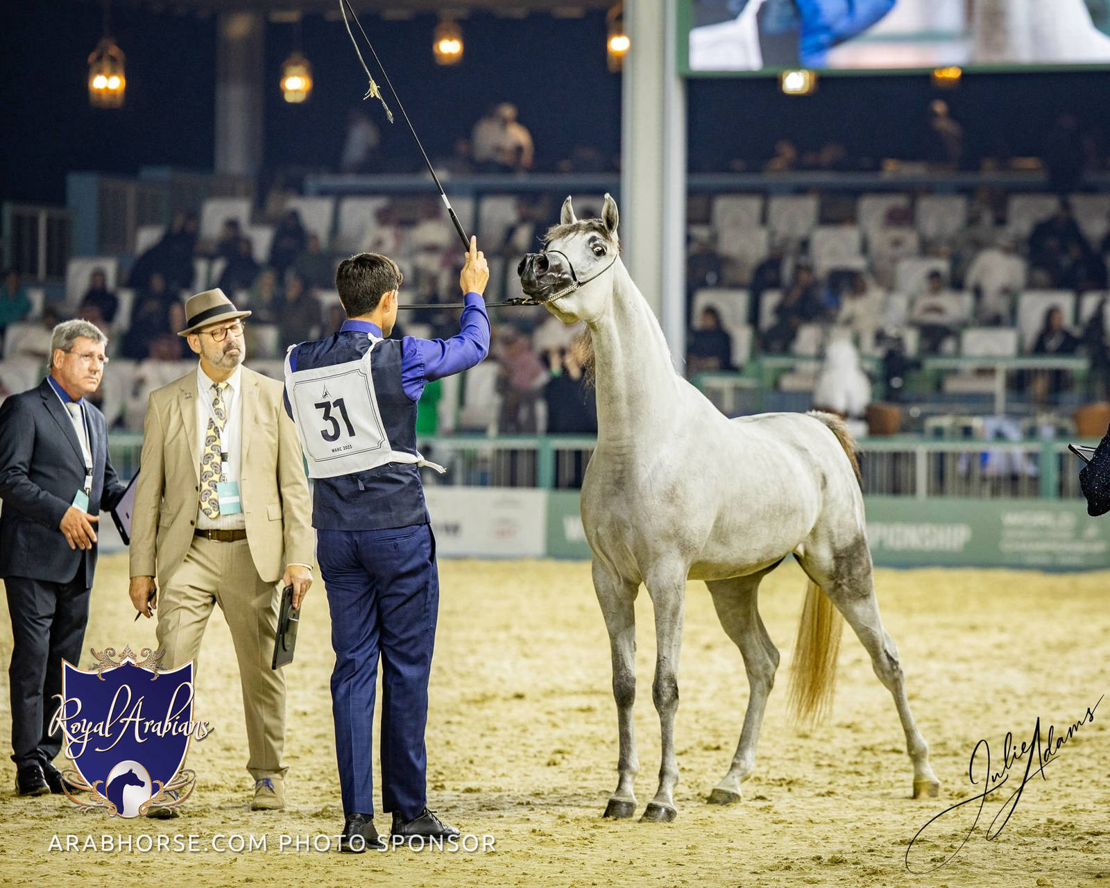 World Arabian Horse Championship Day One - Mares & Fillies