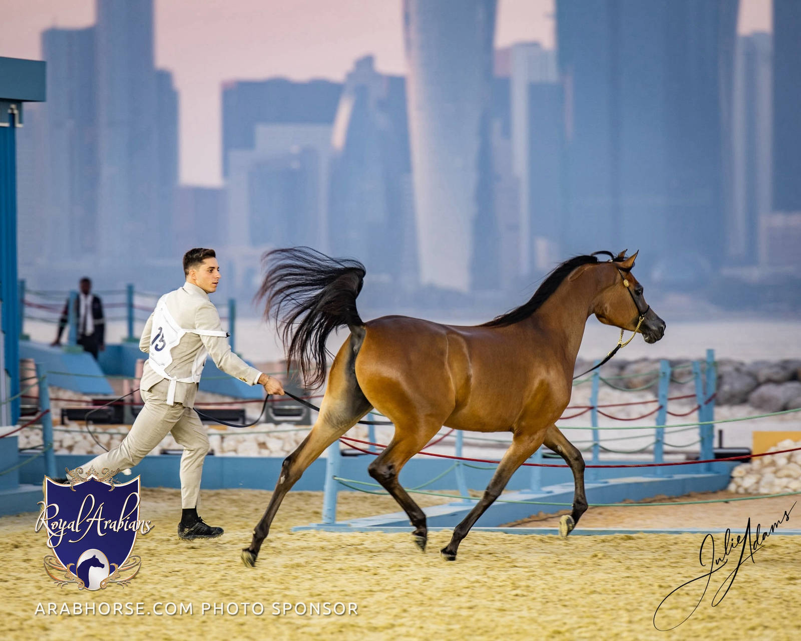 World Arabian Horse Championship Day One - Mares & Fillies
