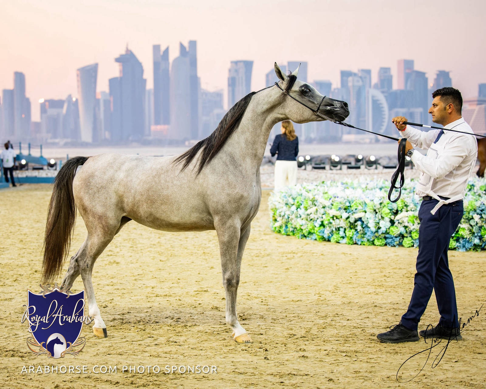 World Arabian Horse Championship Day One - Mares & Fillies