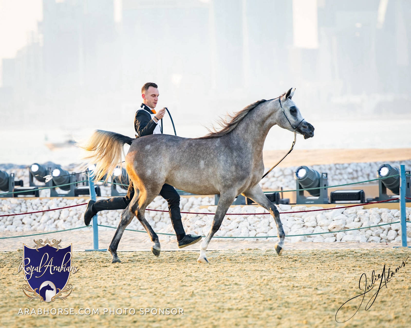 World Arabian Horse Championship Day One - Mares & Fillies