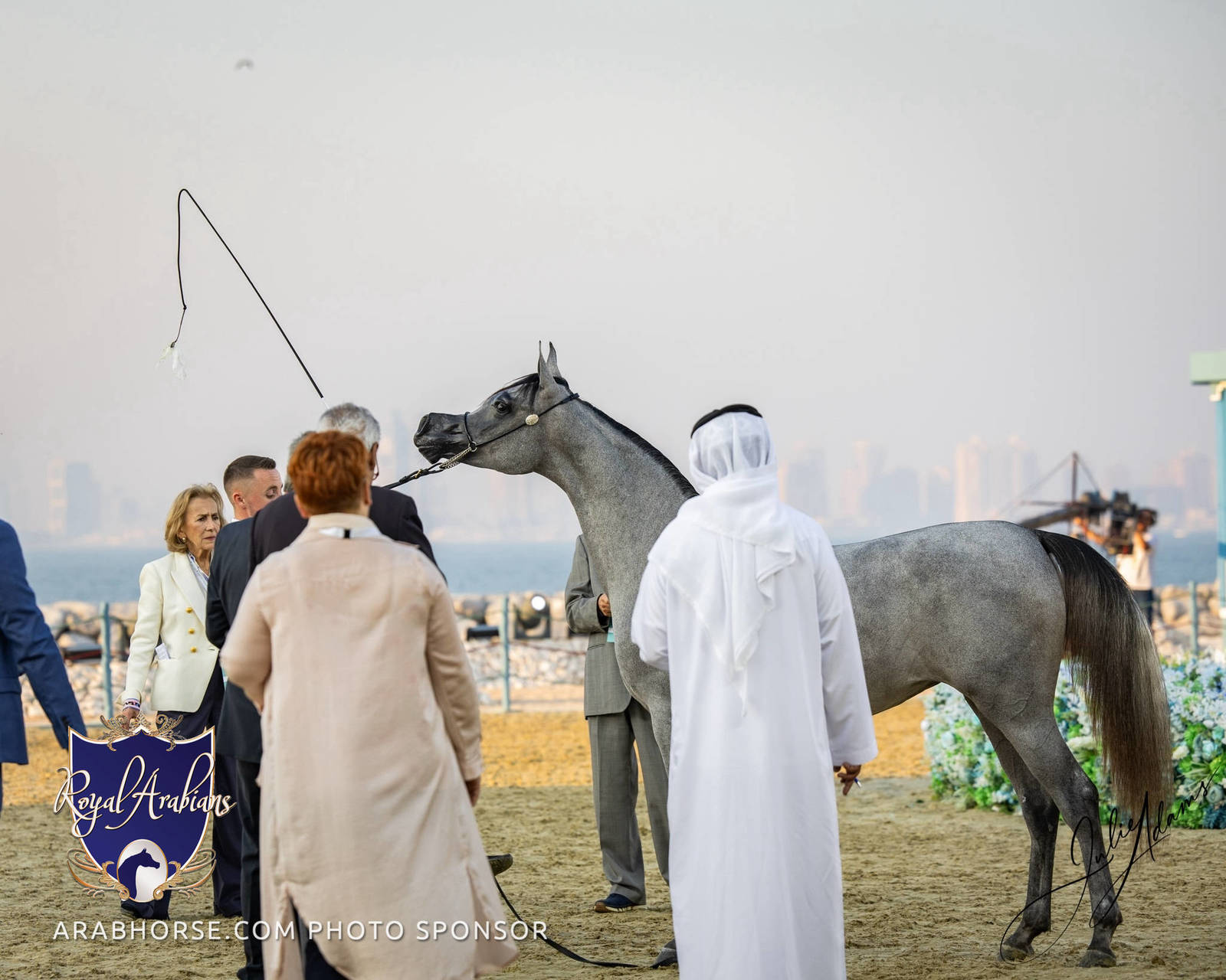 World Arabian Horse Championship Day One - Mares & Fillies