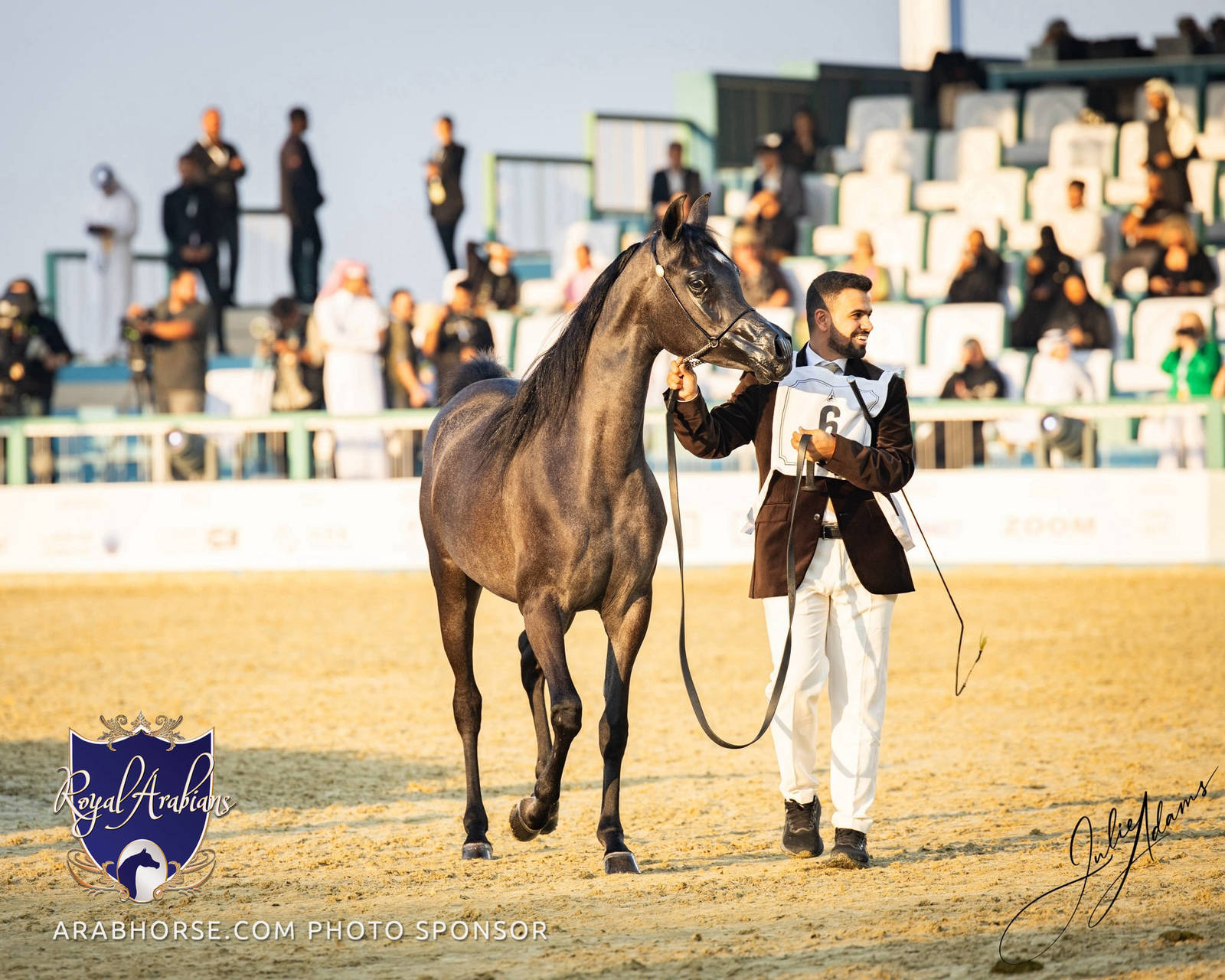 World Arabian Horse Championship Day One - Mares & Fillies