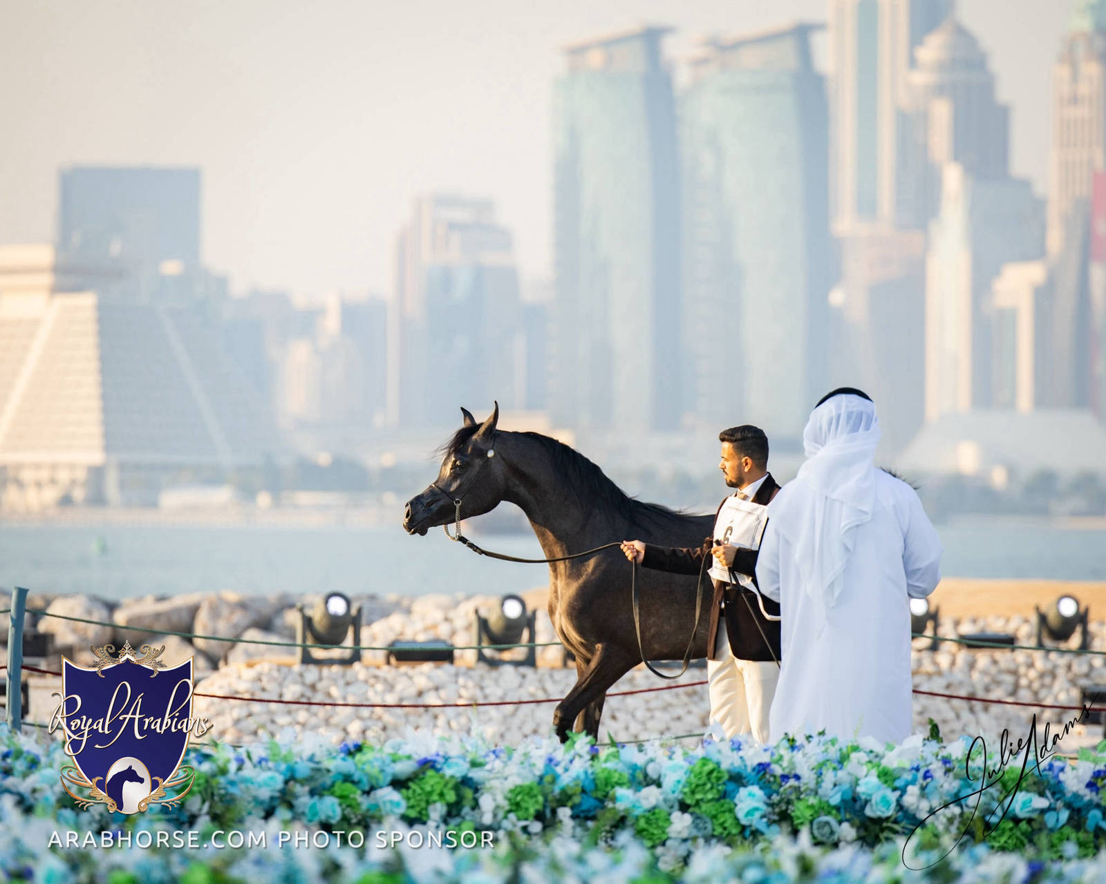 World Arabian Horse Championship Day One - Mares & Fillies