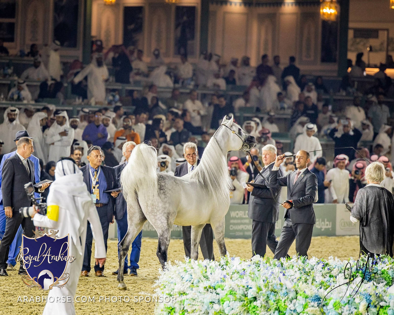 WORLD ARABIAN HORSE CHAMPIONSHIP DAY TWO - Stallions & Colts