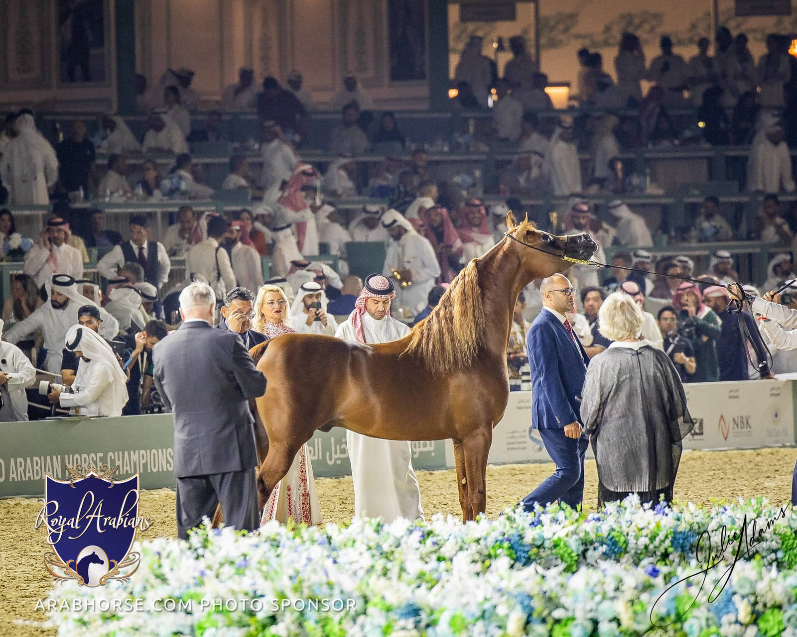 WORLD ARABIAN HORSE CHAMPIONSHIP DAY TWO - Stallions & Colts