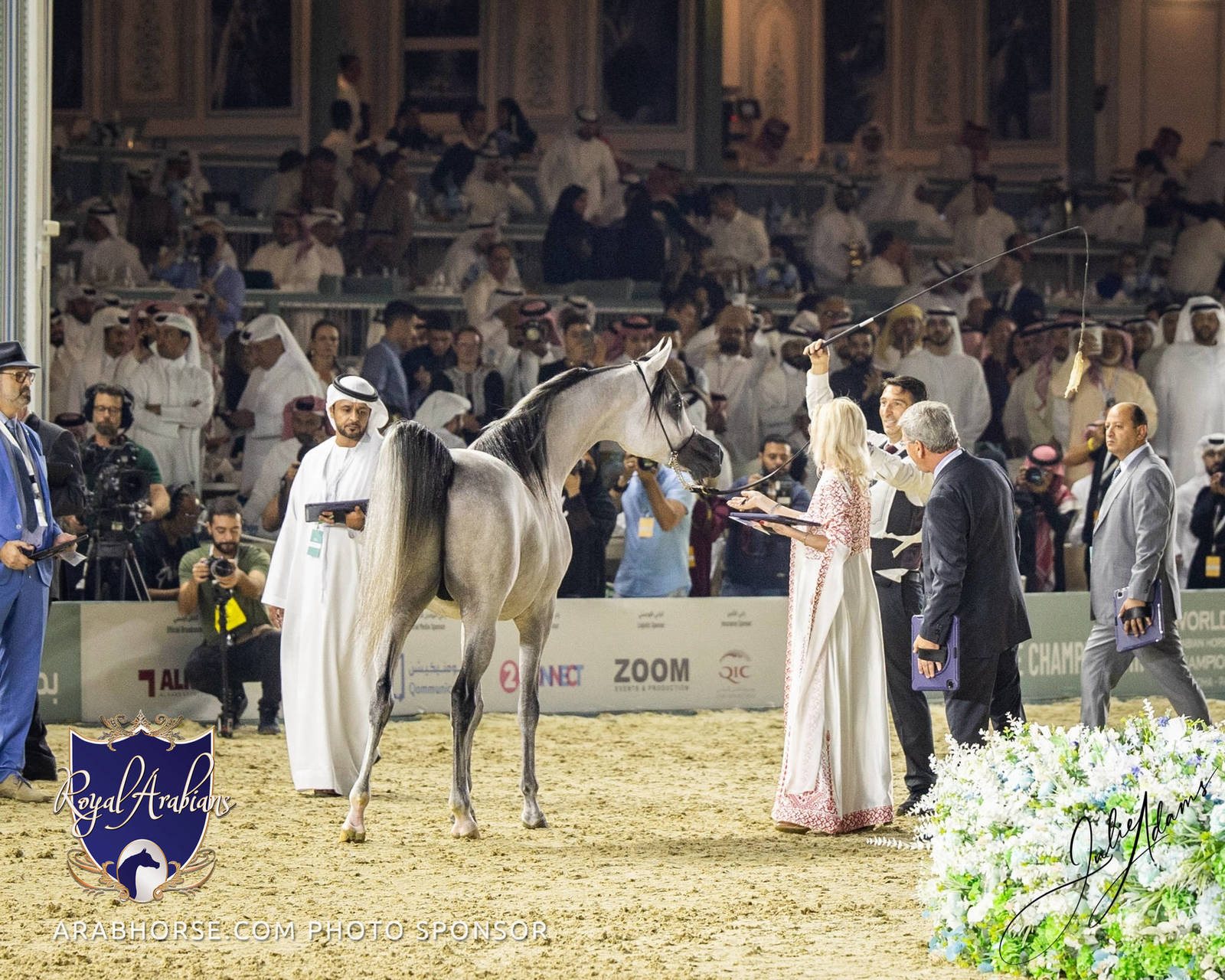 WORLD ARABIAN HORSE CHAMPIONSHIP DAY TWO - Stallions & Colts