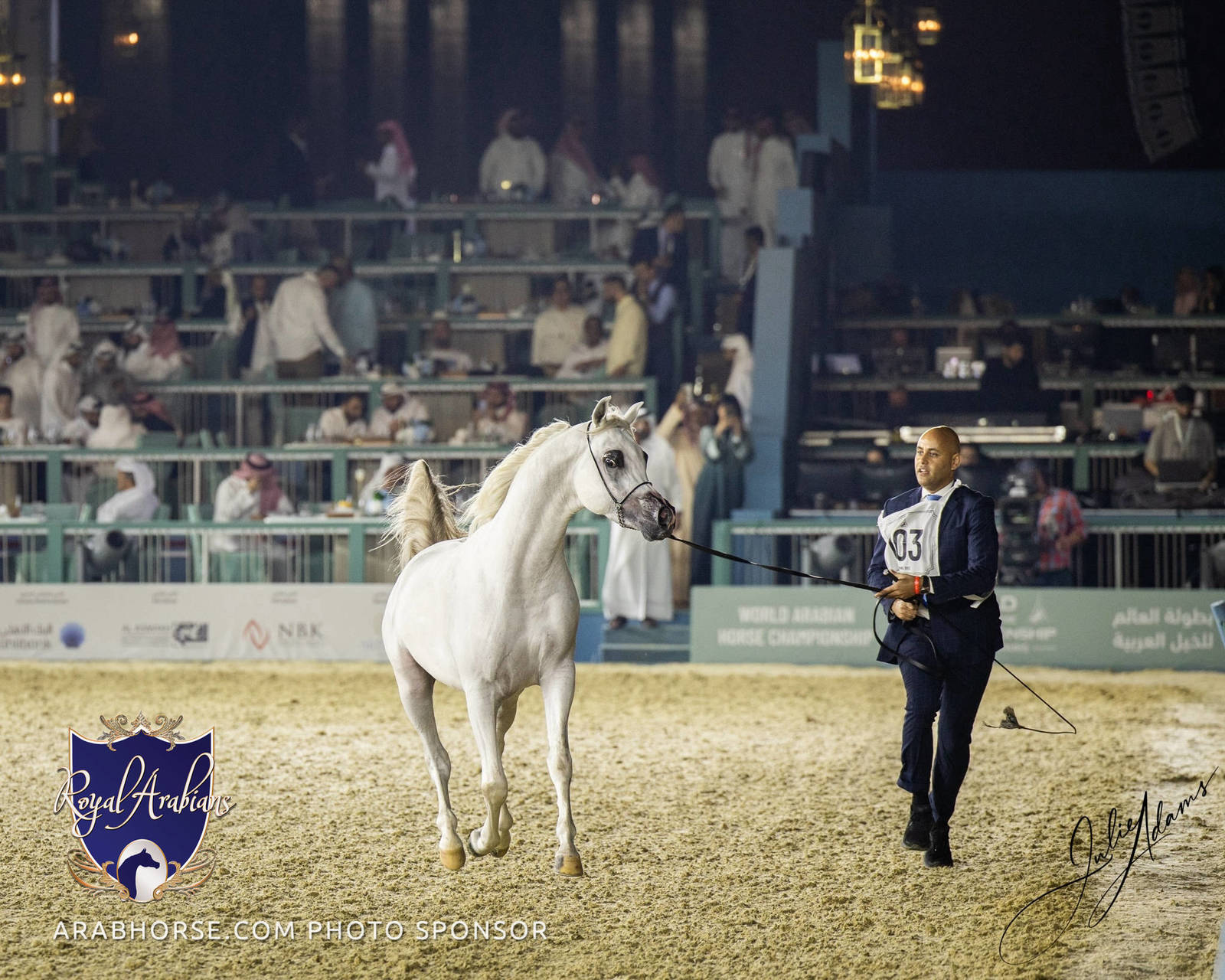 WORLD ARABIAN HORSE CHAMPIONSHIP DAY TWO - Stallions & Colts