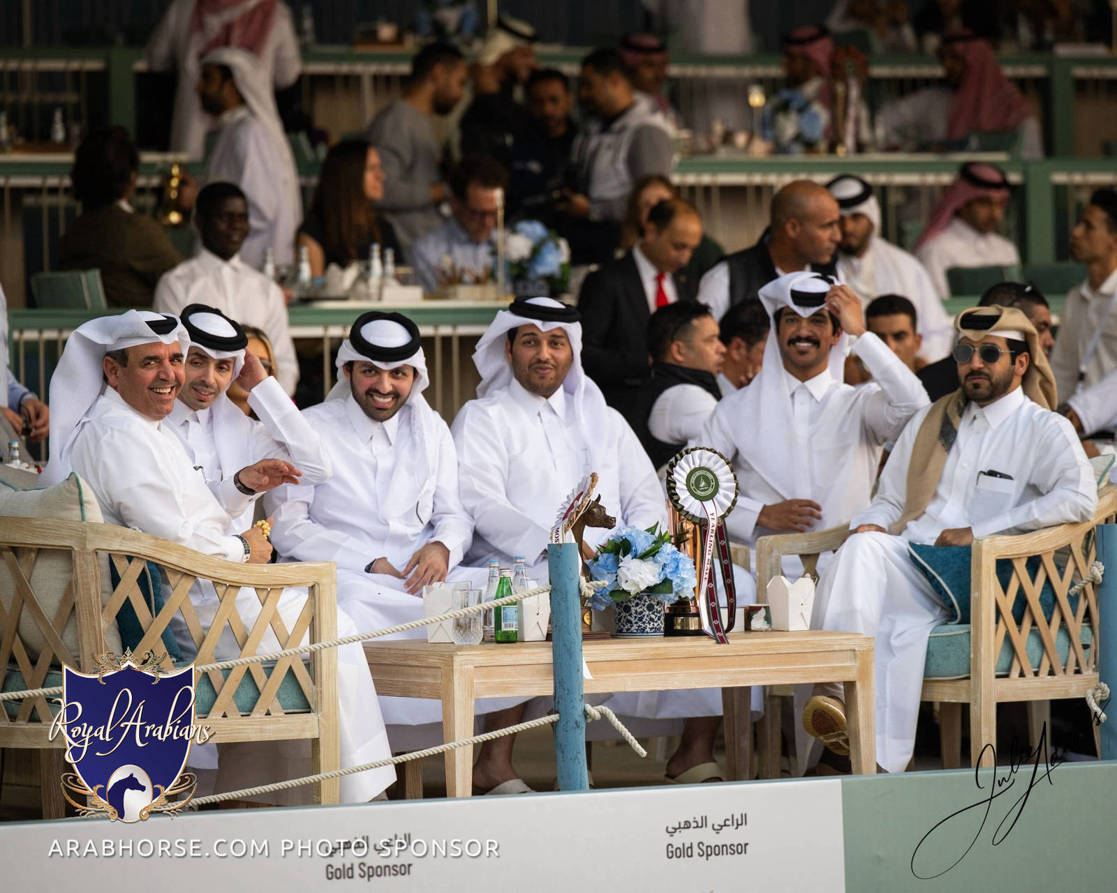WORLD ARABIAN HORSE CHAMPIONSHIP DAY TWO - Stallions & Colts