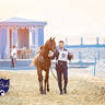 WORLD ARABIAN HORSE CHAMPIONSHIP DAY TWO - Stallions & Colts