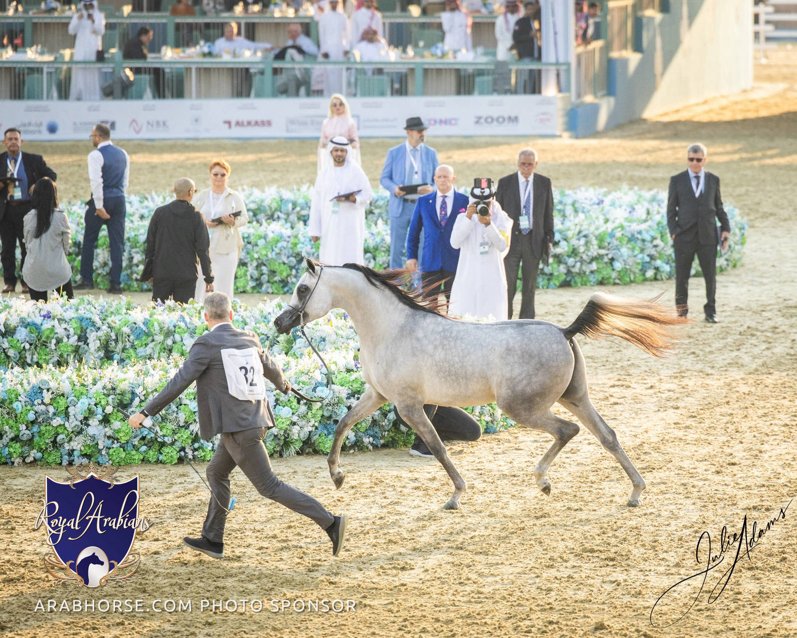 WORLD ARABIAN HORSE CHAMPIONSHIP DAY TWO - Stallions & Colts