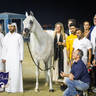 WORLD ARABIAN HORSE CHAMPIONSHIP FINAL DAY