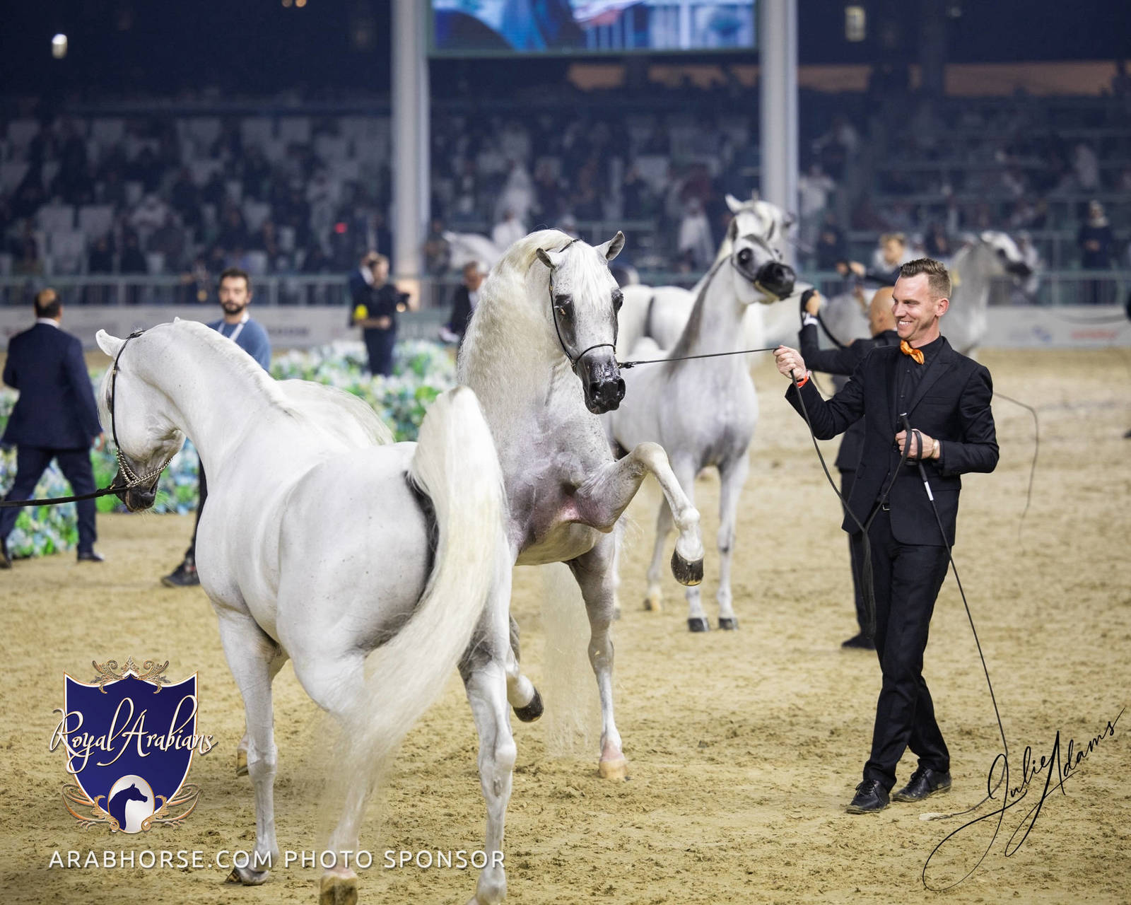 WORLD ARABIAN HORSE CHAMPIONSHIP FINAL DAY