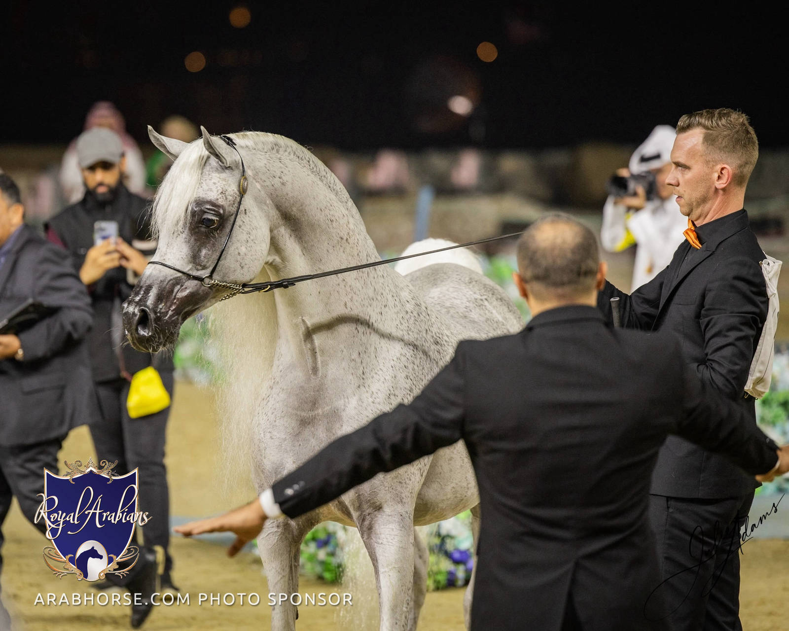 WORLD ARABIAN HORSE CHAMPIONSHIP FINAL DAY