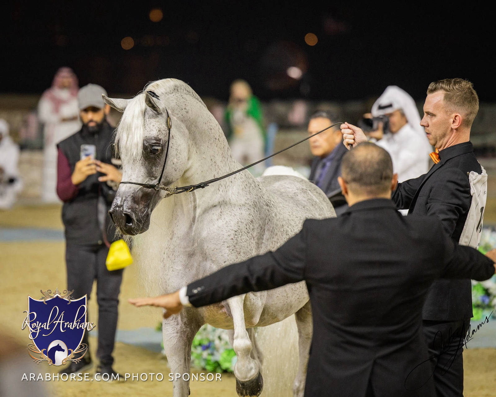 WORLD ARABIAN HORSE CHAMPIONSHIP FINAL DAY