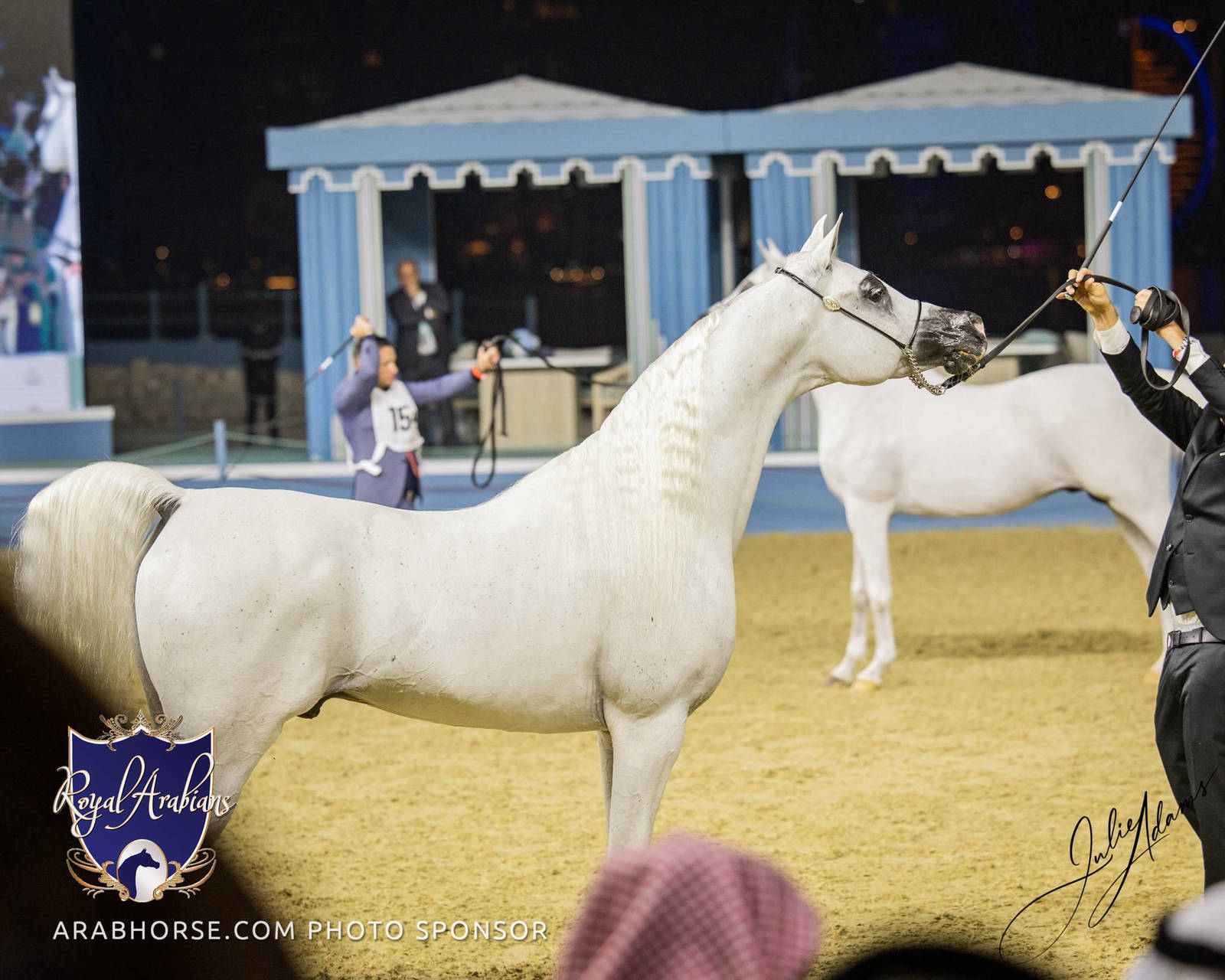 WORLD ARABIAN HORSE CHAMPIONSHIP FINAL DAY