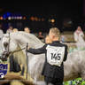 WORLD ARABIAN HORSE CHAMPIONSHIP FINAL DAY