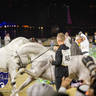 WORLD ARABIAN HORSE CHAMPIONSHIP FINAL DAY