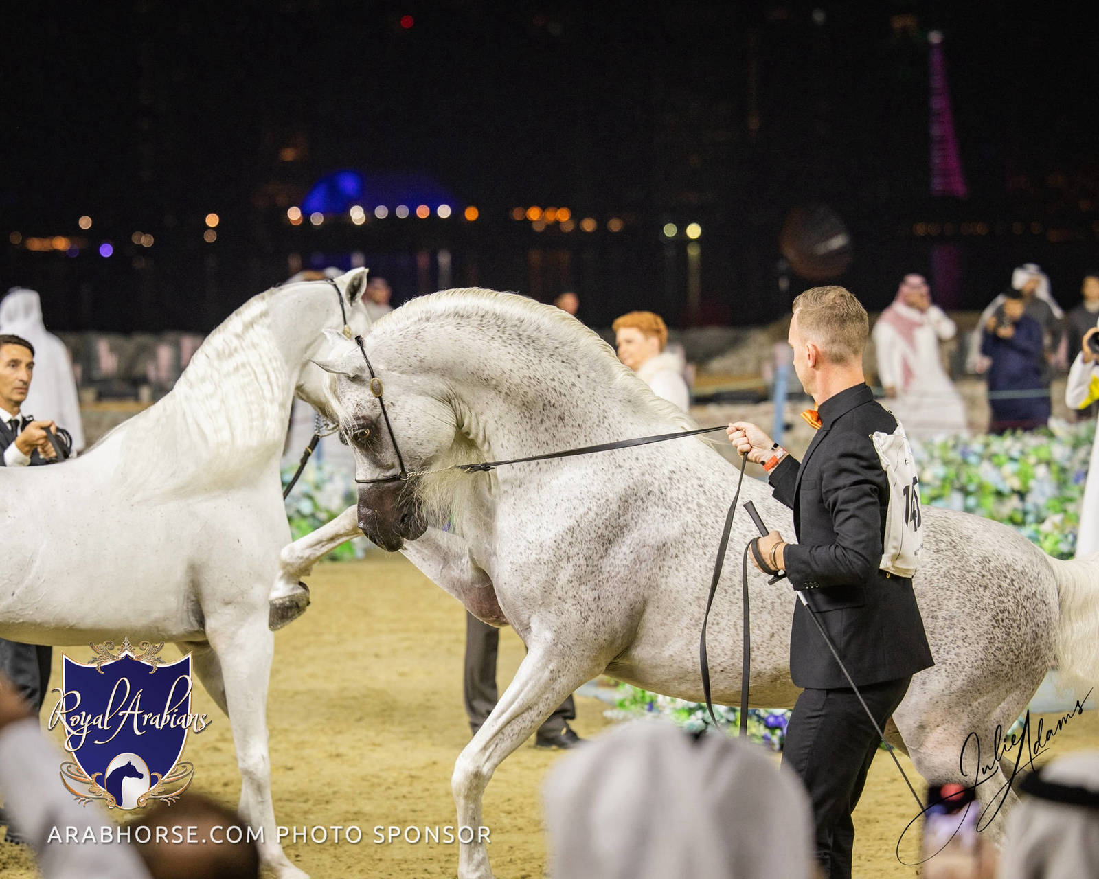 WORLD ARABIAN HORSE CHAMPIONSHIP FINAL DAY