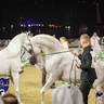 WORLD ARABIAN HORSE CHAMPIONSHIP FINAL DAY