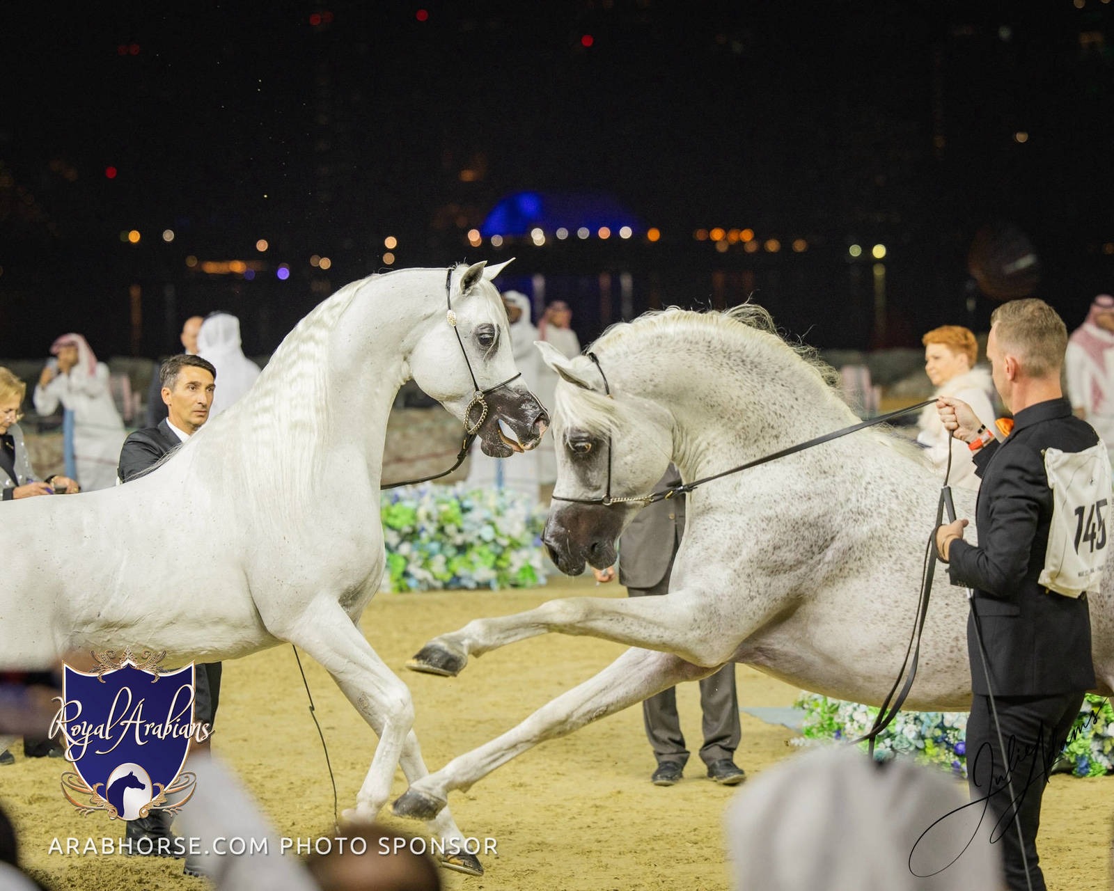 WORLD ARABIAN HORSE CHAMPIONSHIP FINAL DAY