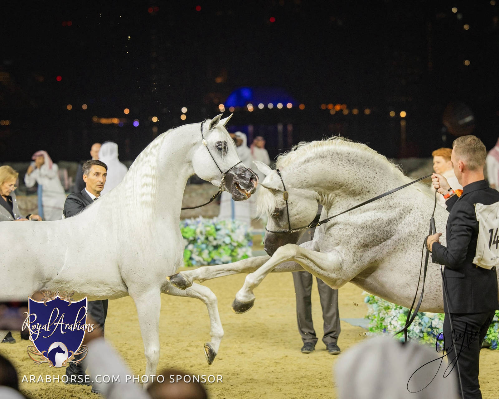 WORLD ARABIAN HORSE CHAMPIONSHIP FINAL DAY