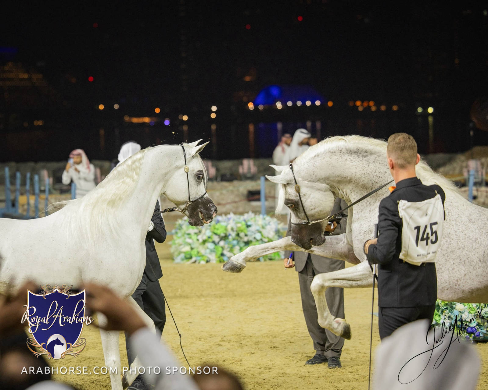 WORLD ARABIAN HORSE CHAMPIONSHIP FINAL DAY