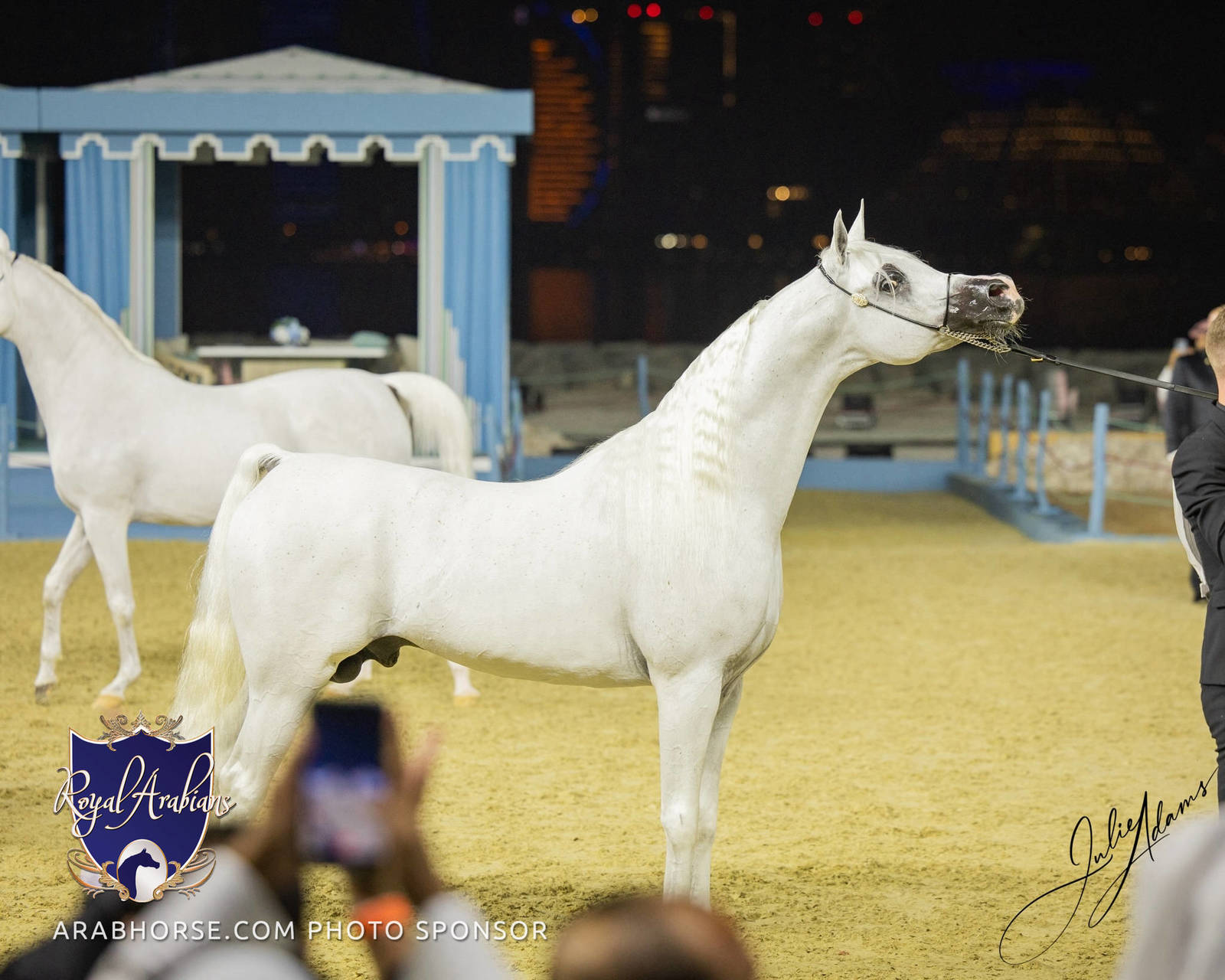 WORLD ARABIAN HORSE CHAMPIONSHIP FINAL DAY