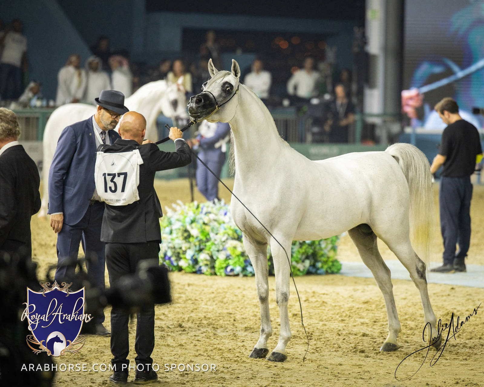 WORLD ARABIAN HORSE CHAMPIONSHIP FINAL DAY