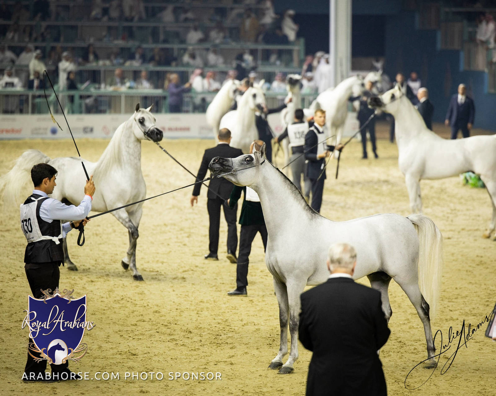 WORLD ARABIAN HORSE CHAMPIONSHIP FINAL DAY