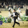 WORLD ARABIAN HORSE CHAMPIONSHIP FINAL DAY