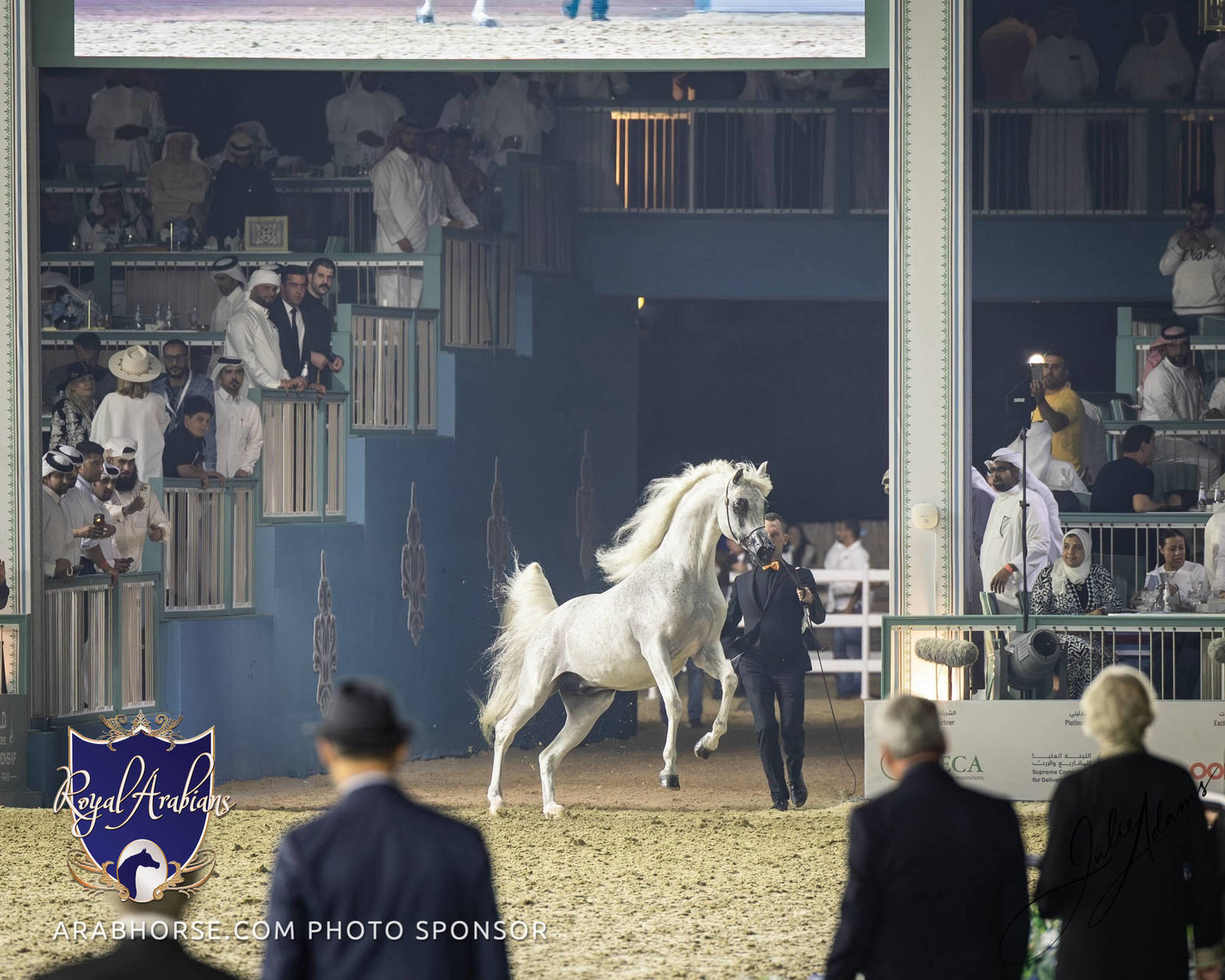 WORLD ARABIAN HORSE CHAMPIONSHIP FINAL DAY