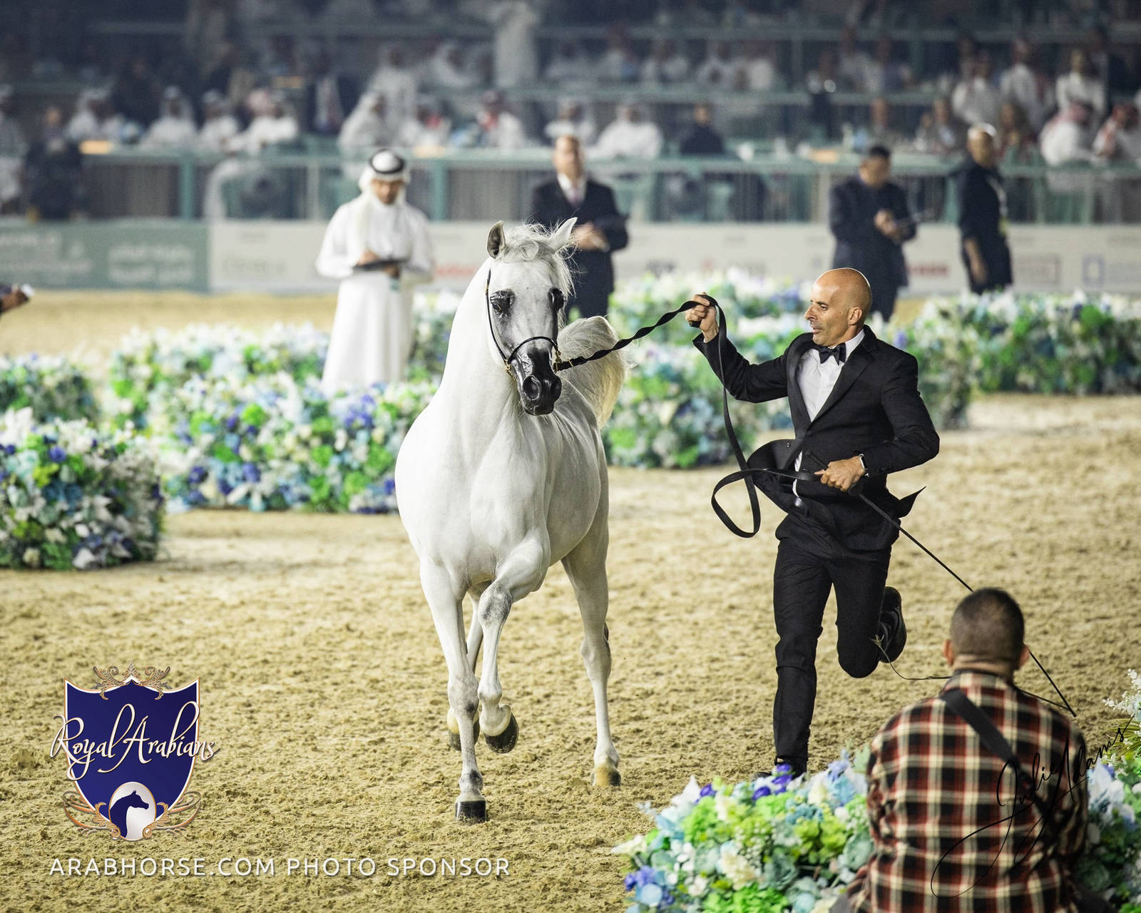 WORLD ARABIAN HORSE CHAMPIONSHIP FINAL DAY