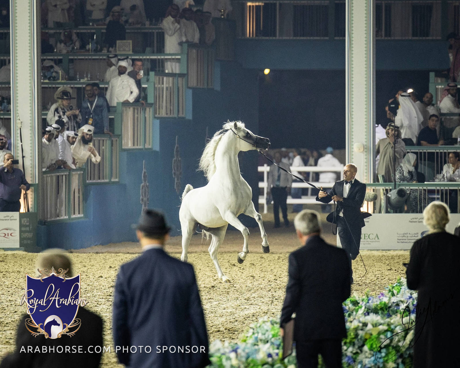 WORLD ARABIAN HORSE CHAMPIONSHIP FINAL DAY