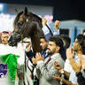 WORLD ARABIAN HORSE CHAMPIONSHIP FINAL DAY
