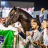 WORLD ARABIAN HORSE CHAMPIONSHIP FINAL DAY