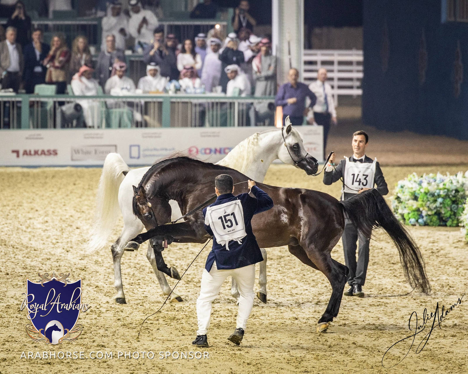 WORLD ARABIAN HORSE CHAMPIONSHIP FINAL DAY