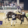 WORLD ARABIAN HORSE CHAMPIONSHIP FINAL DAY