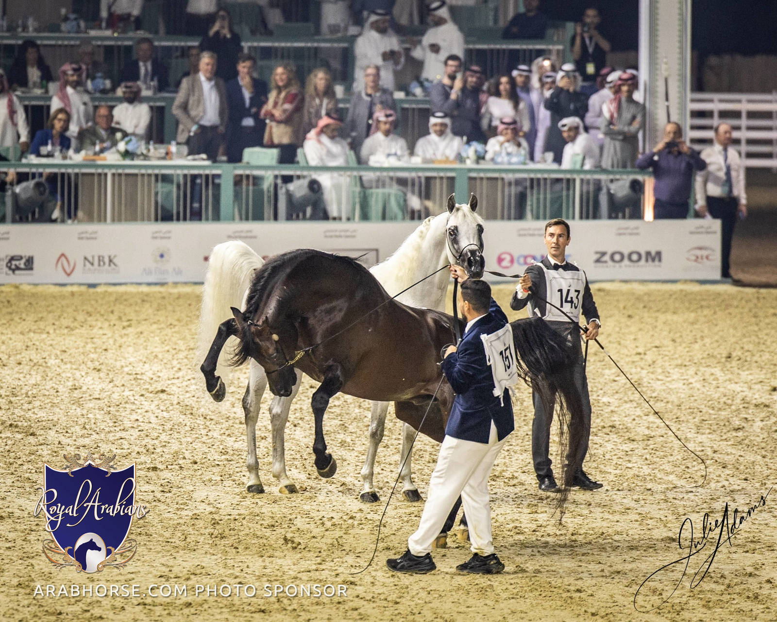 WORLD ARABIAN HORSE CHAMPIONSHIP FINAL DAY