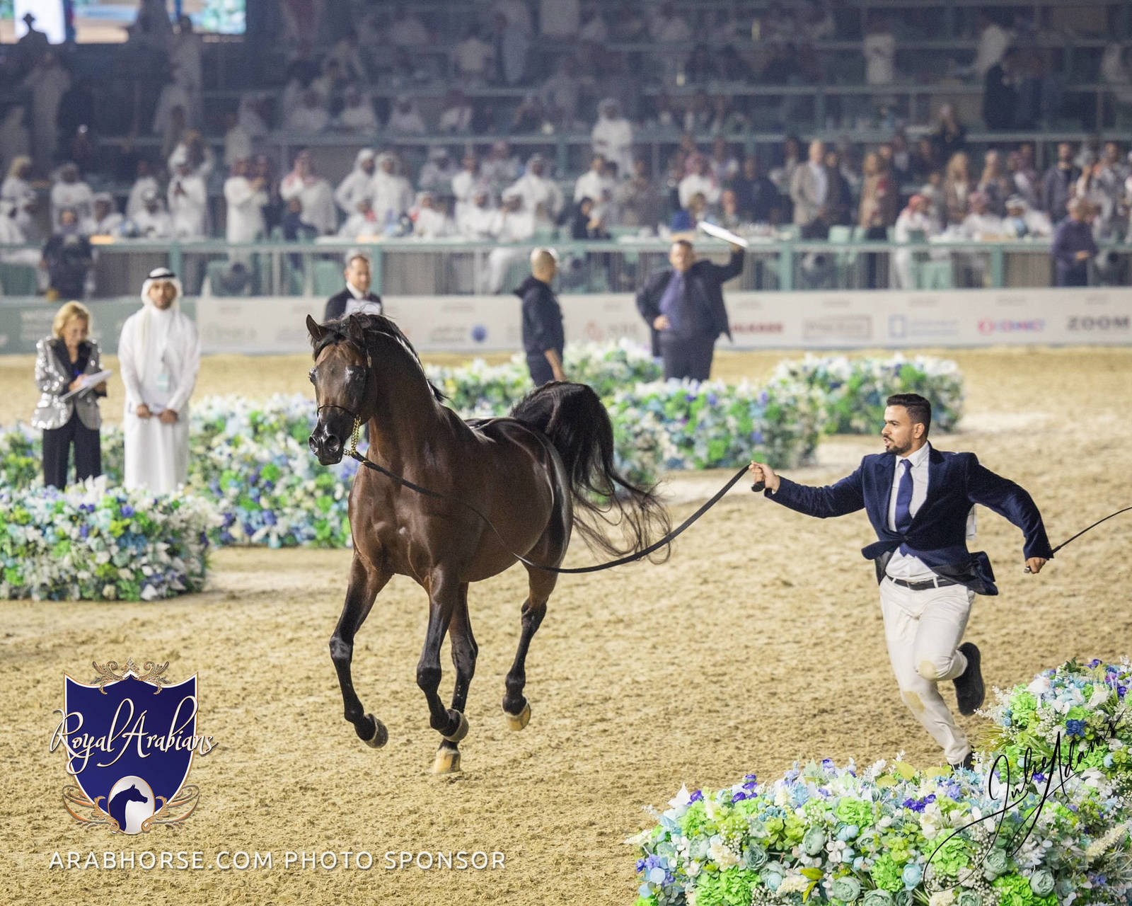 WORLD ARABIAN HORSE CHAMPIONSHIP FINAL DAY