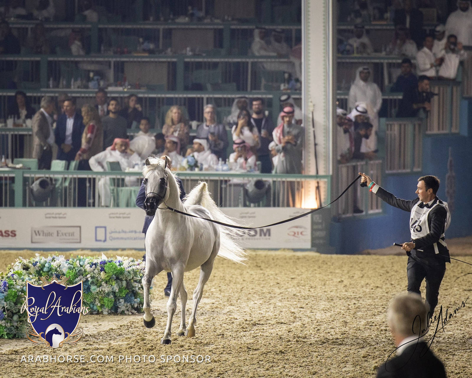 WORLD ARABIAN HORSE CHAMPIONSHIP FINAL DAY