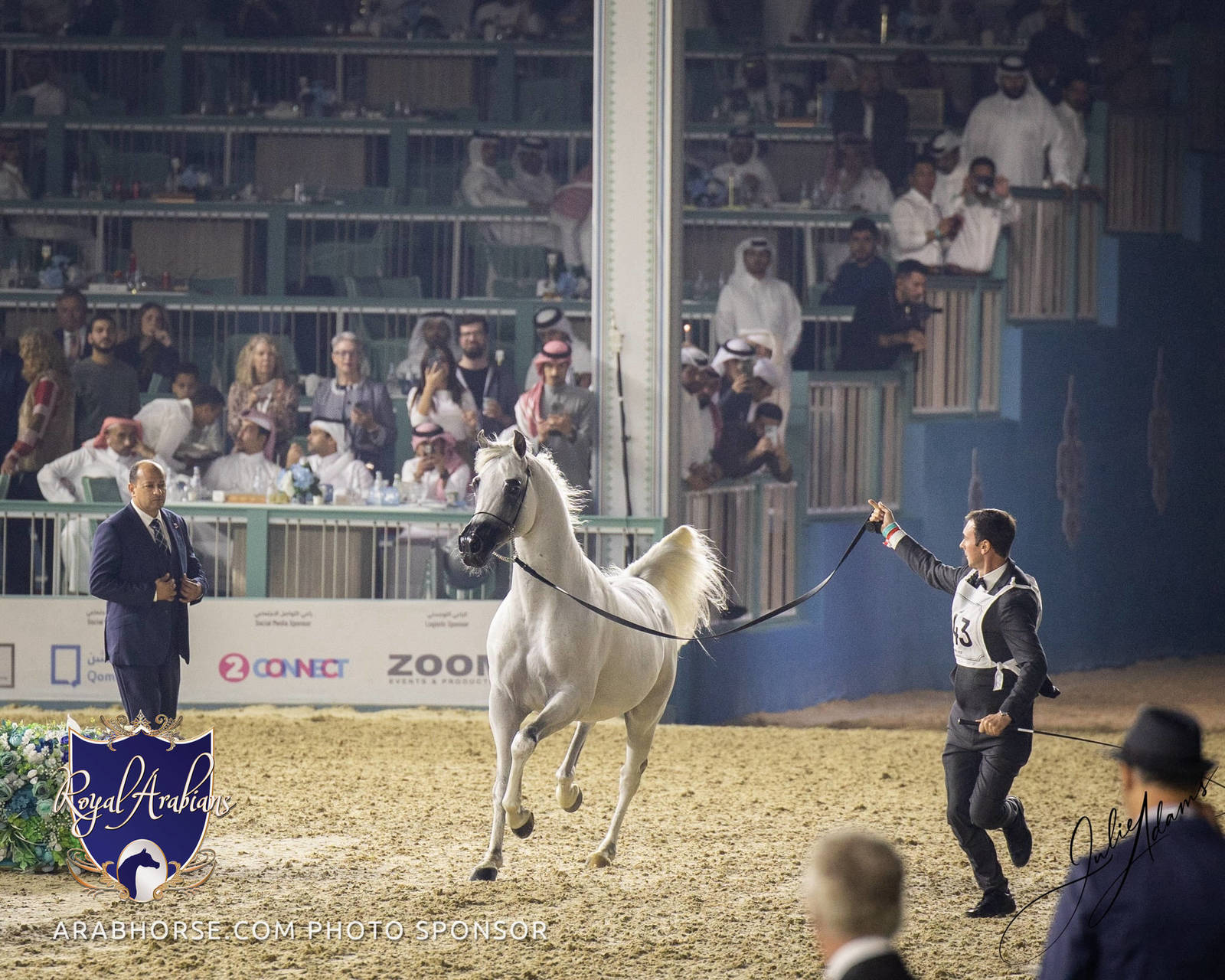WORLD ARABIAN HORSE CHAMPIONSHIP FINAL DAY