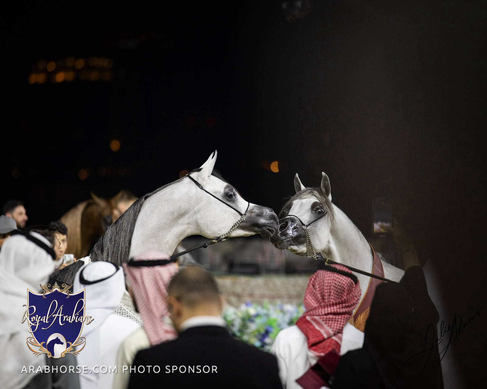 WORLD ARABIAN HORSE CHAMPIONSHIP FINAL DAY