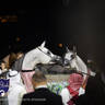 WORLD ARABIAN HORSE CHAMPIONSHIP FINAL DAY