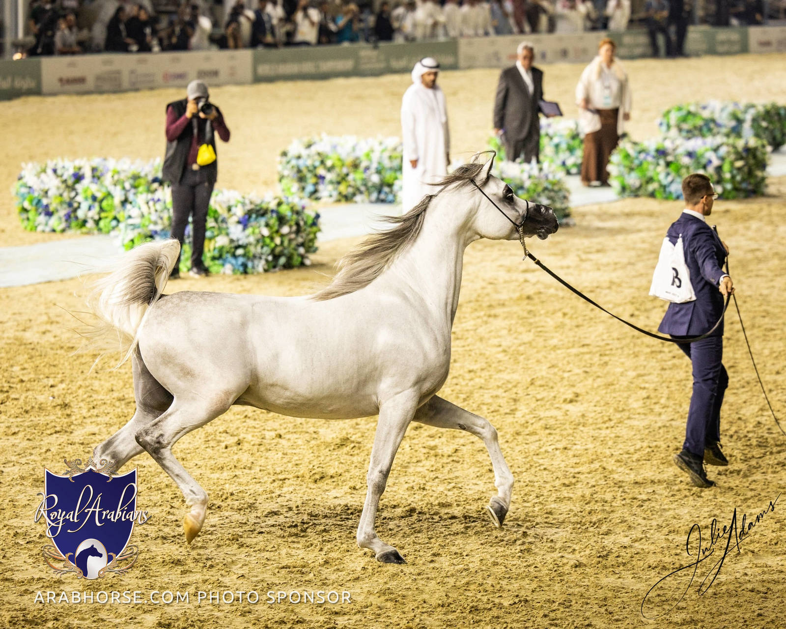 WORLD ARABIAN HORSE CHAMPIONSHIP FINAL DAY