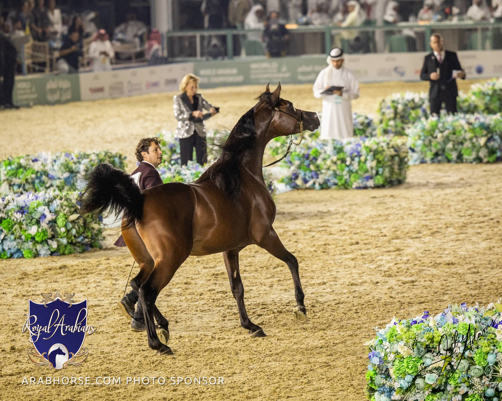 WORLD ARABIAN HORSE CHAMPIONSHIP FINAL DAY