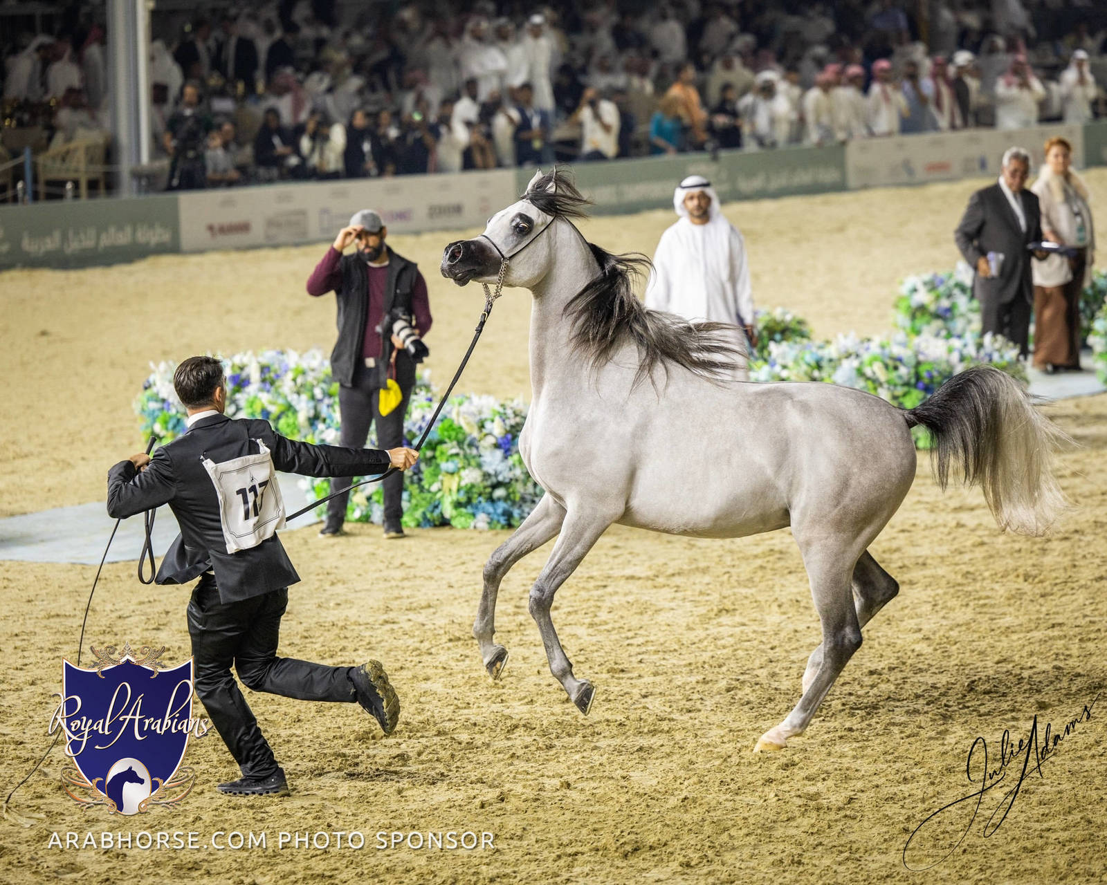 WORLD ARABIAN HORSE CHAMPIONSHIP FINAL DAY