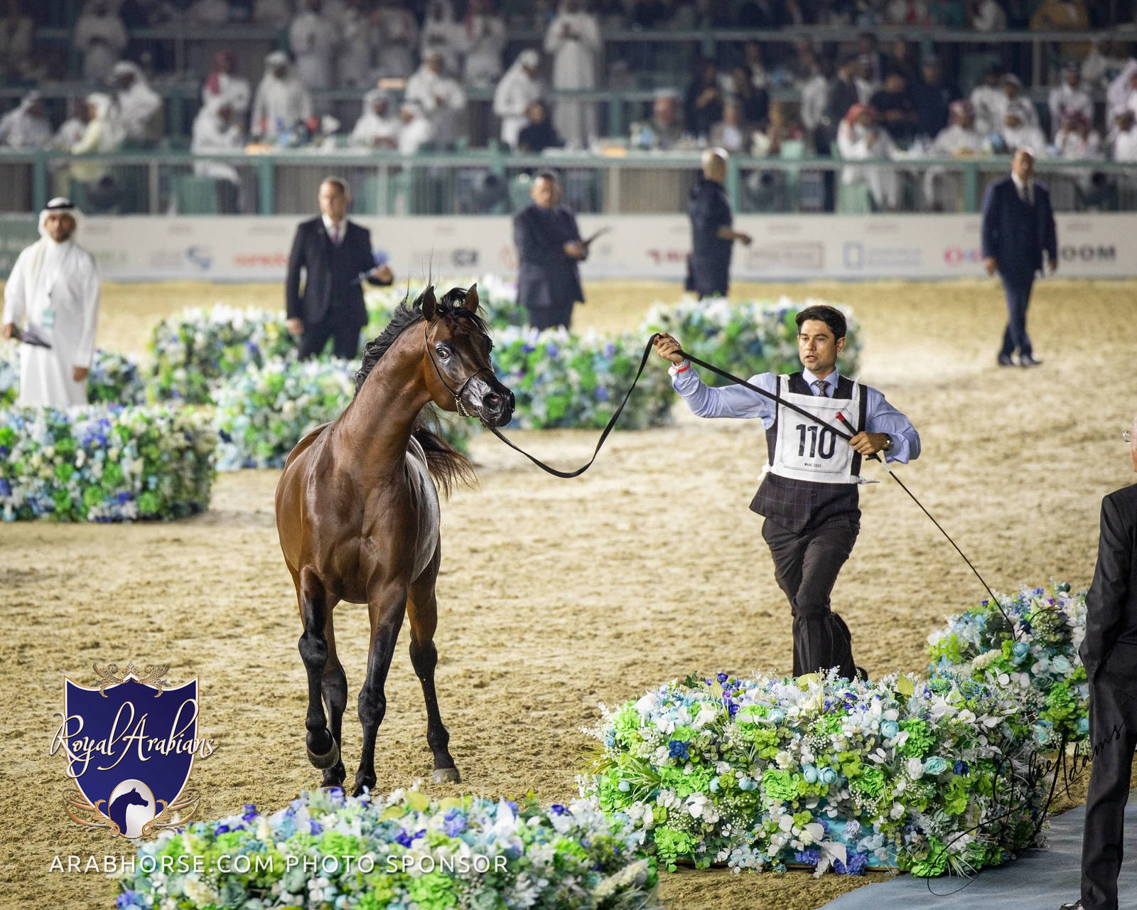 WORLD ARABIAN HORSE CHAMPIONSHIP FINAL DAY