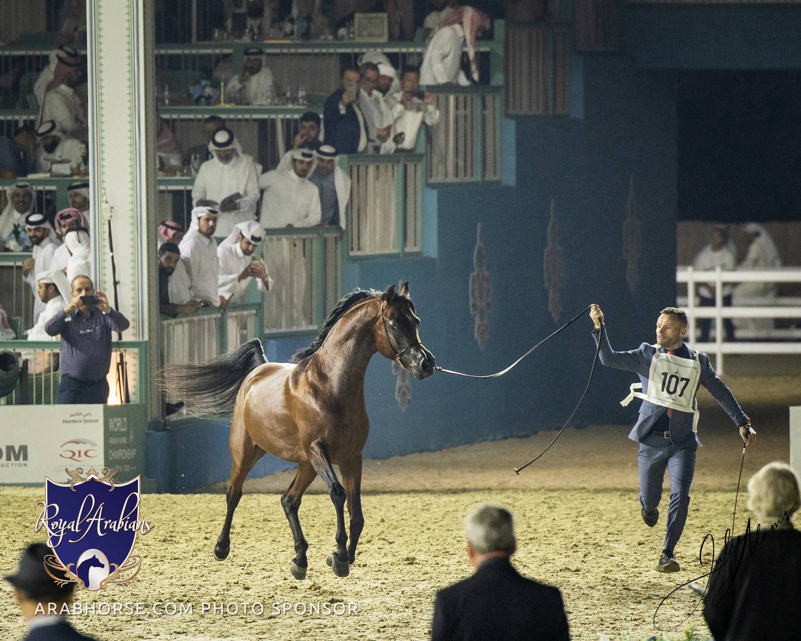 WORLD ARABIAN HORSE CHAMPIONSHIP FINAL DAY